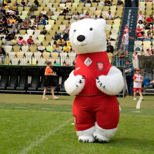 Turniej Marzeń 2025, Polsat Plus Arena Gdańsk