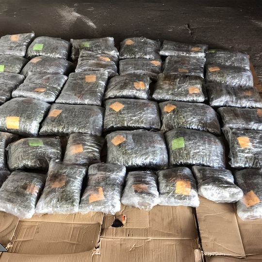 zabezpieczone narkotyki i pieniądze