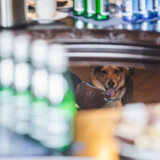 obrady kapituły konkursu Asy Samorządu 2024