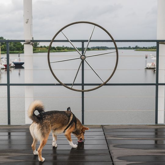 Marina Błotnik na Żuławach Wiślanych