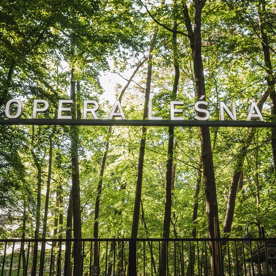 Maja Kleszcz w Operze Leśnej w Sopocie w ramach cyklu koncertów Lasy