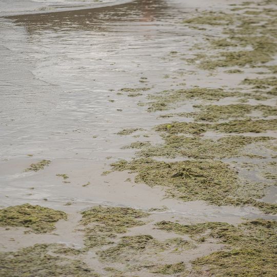 plażowicze w Gdyni, lato 2025