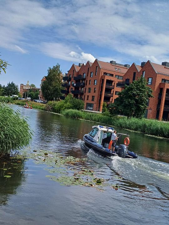 łabędź z haczykiem w dziobie uratowany przez służby w Gdańsku