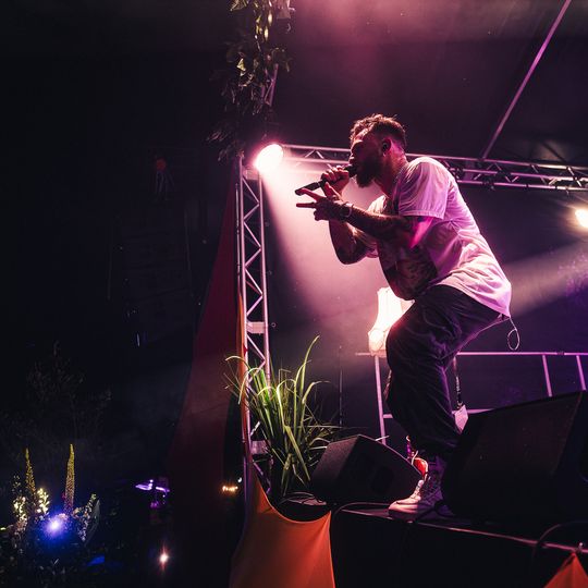 Brasswood Fest 2025, Gdynia, dzień I