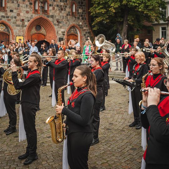 Brasswood Fest 2025, kolorowa parada zespołów dętych