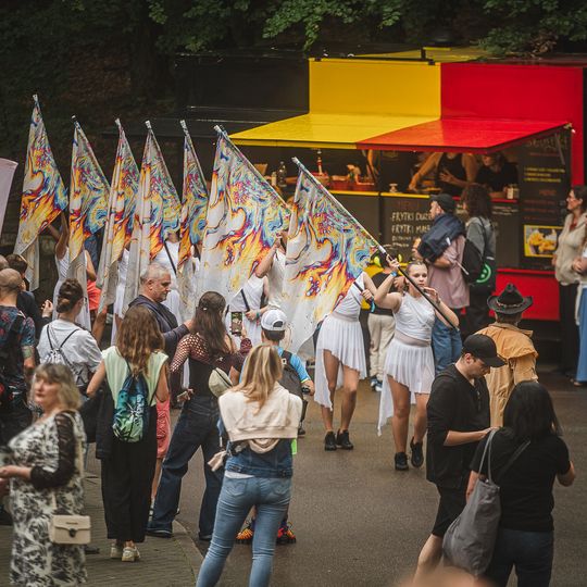 Brasswood Fest 2025, kolorowa parada zespołów dętych