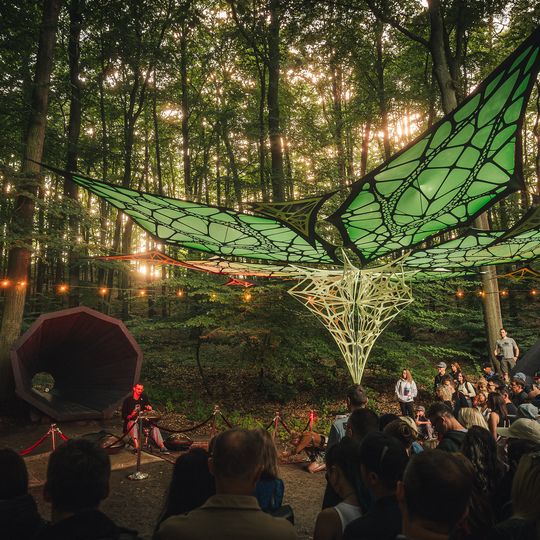 Brasswood Fest 2025 w Operze Leśnej, „Kwitnienie”