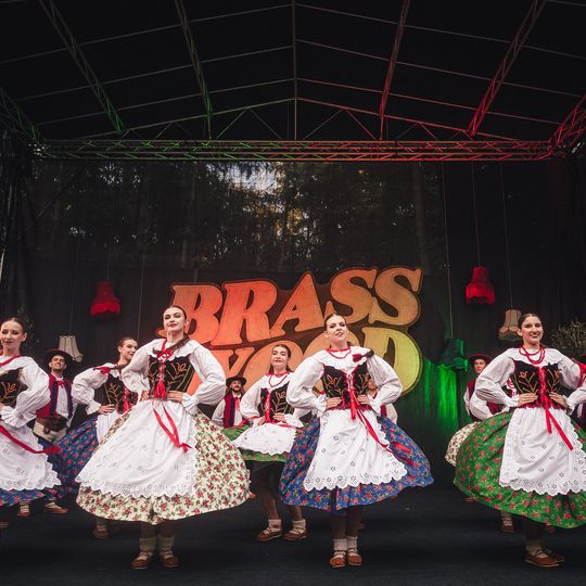 Brasswood Fest 2025 w Operze Leśnej, „Kwitnienie”