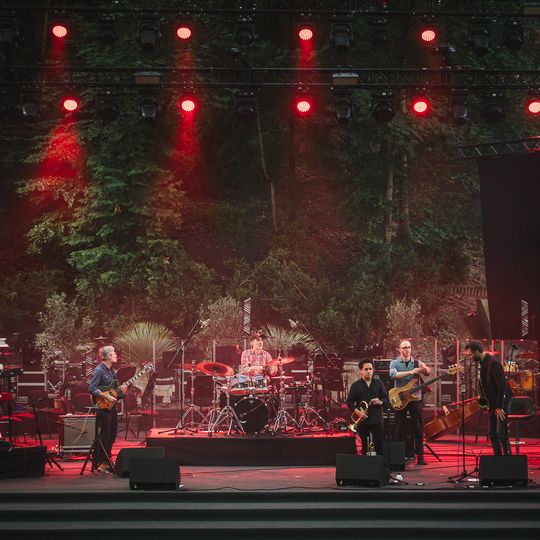 Brasswood Fest 2025 w Operze Leśnej, „Kwitnienie”