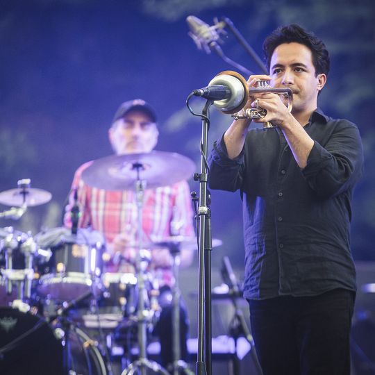 Brasswood Fest 2025 w Operze Leśnej, „Kwitnienie”