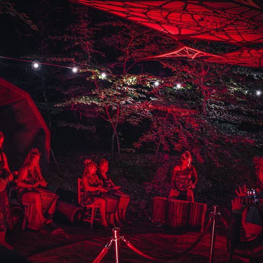 Brasswood Fest 2025 w Operze Leśnej, „Kwitnienie”