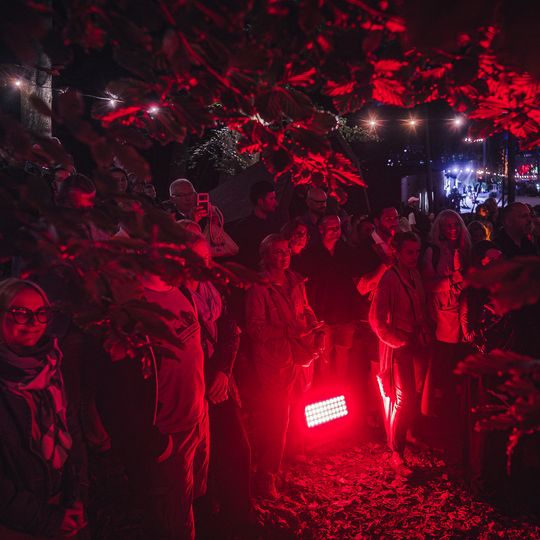 Brasswood Fest 2025 w Operze Leśnej, „Kwitnienie”