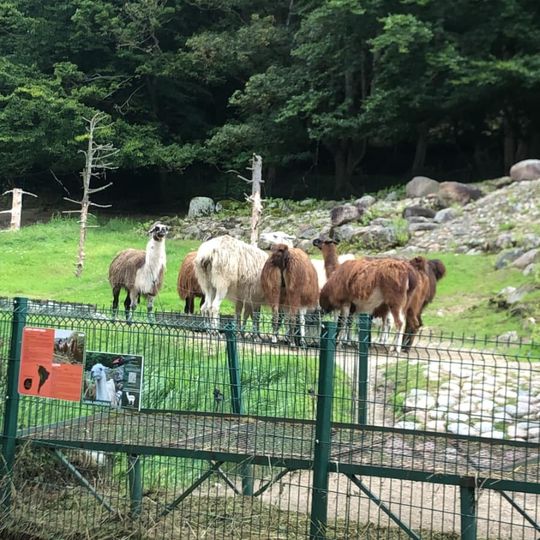 „Wakacyjne Misje Odkrywców – półkolonie z przygodą, pasją i ORLENEM”