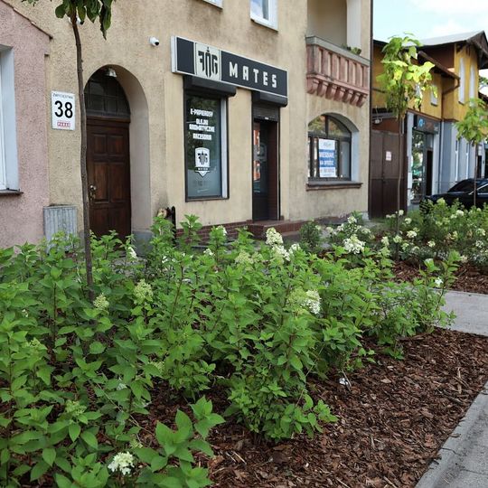 nowa zieleń miejska w Lęborku