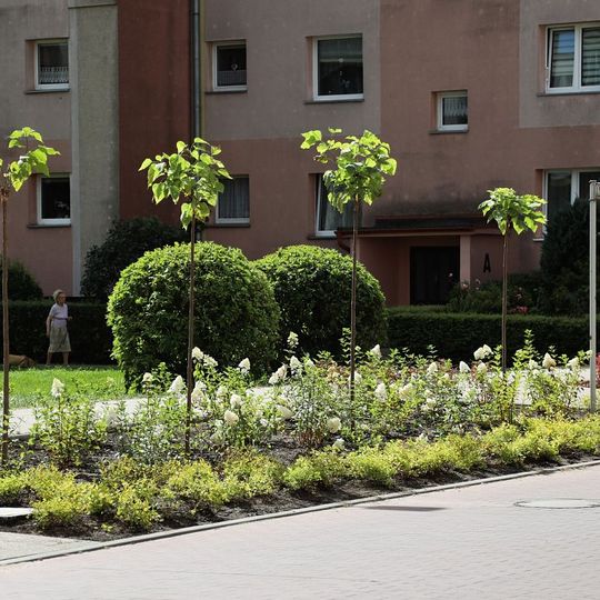 nowa zieleń miejska w Lęborku