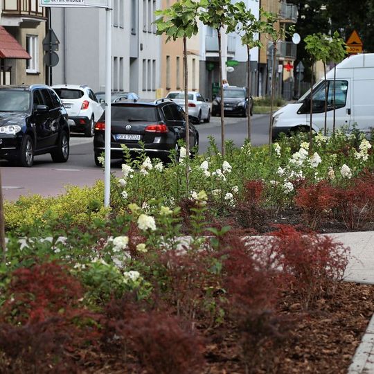 nowa zieleń miejska w Lęborku