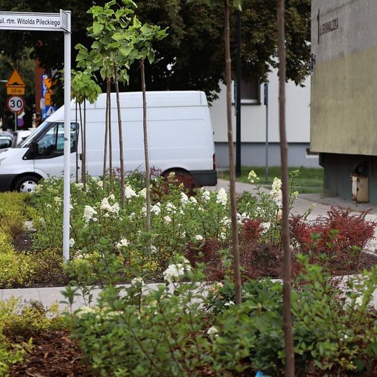 nowa zieleń miejska w Lęborku