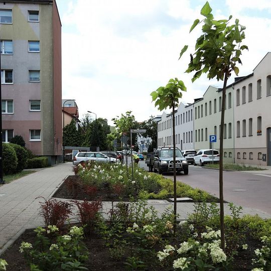 nowa zieleń miejska w Lęborku