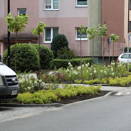 nowa zieleń miejska w Lęborku