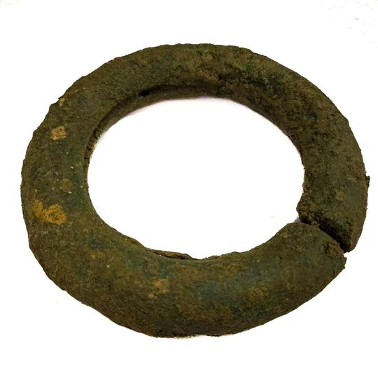 skarb z epoki żelaza odnaleziony w Nadleśnictwie Gdańsk