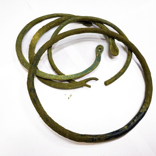 skarb z epoki żelaza odnaleziony w Nadleśnictwie Gdańsk