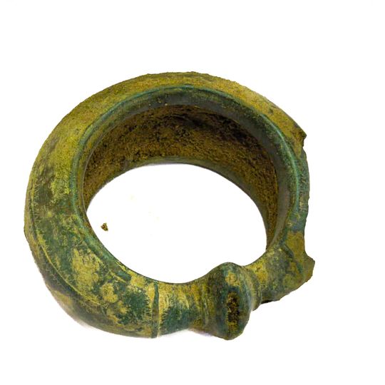 skarb z epoki żelaza odnaleziony w Nadleśnictwie Gdańsk