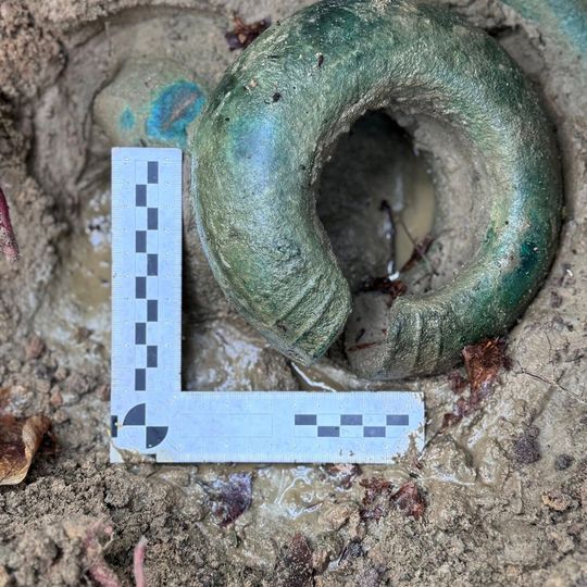 skarb z epoki żelaza odnaleziony w Nadleśnictwie Gdańsk