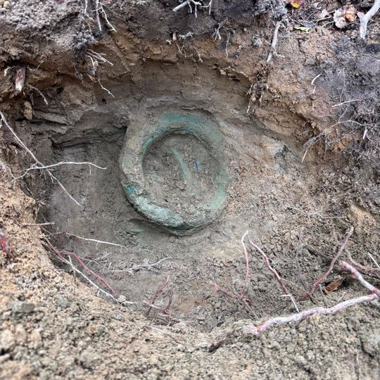 skarb z epoki żelaza odnaleziony w Nadleśnictwie Gdańsk