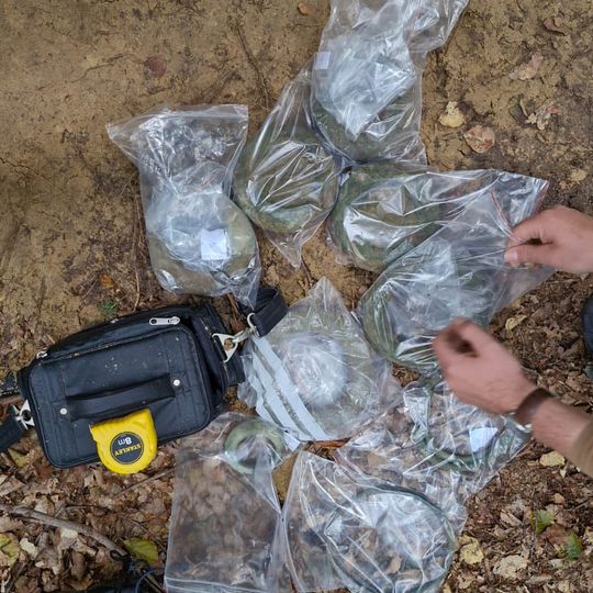 skarb z epoki żelaza odnaleziony w Nadleśnictwie Gdańsk