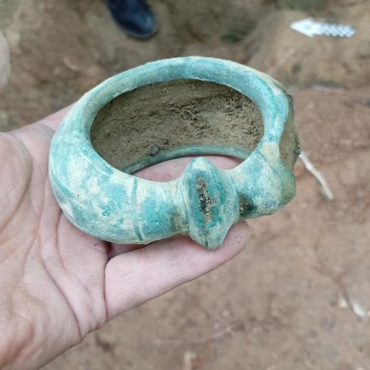 skarb z epoki żelaza odnaleziony w Nadleśnictwie Gdańsk