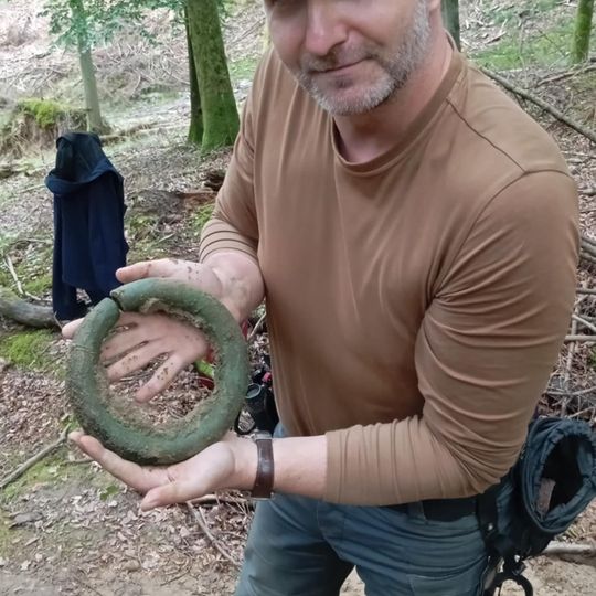 skarb z epoki żelaza odnaleziony w Nadleśnictwie Gdańsk