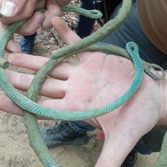 skarb z epoki żelaza odnaleziony w Nadleśnictwie Gdańsk