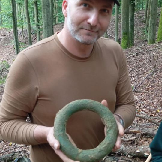 skarb z epoki żelaza odnaleziony w Nadleśnictwie Gdańsk