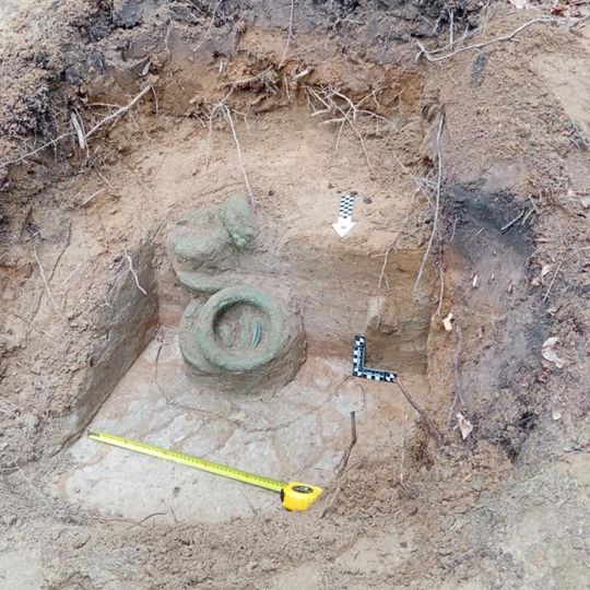 skarb z epoki żelaza odnaleziony w Nadleśnictwie Gdańsk