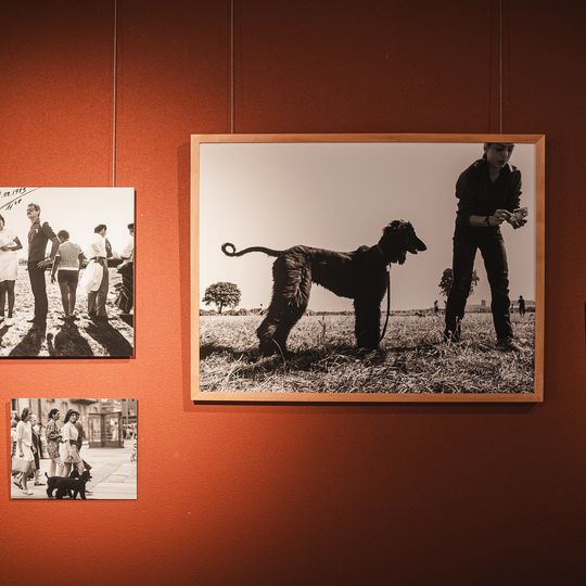 wystawa „Sopot Non Stop” Witolda Węgrzyna w Sopocie