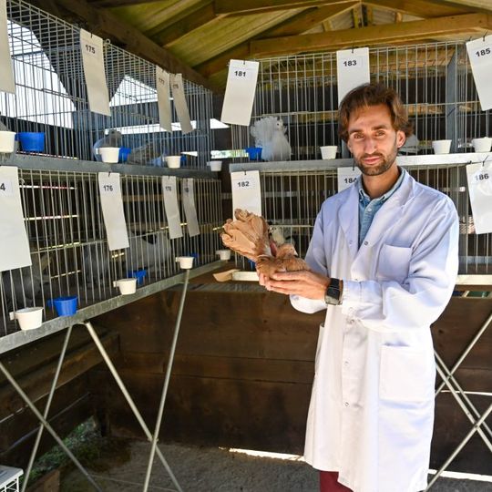 Kaszubska Jesień Rolnicza 2025