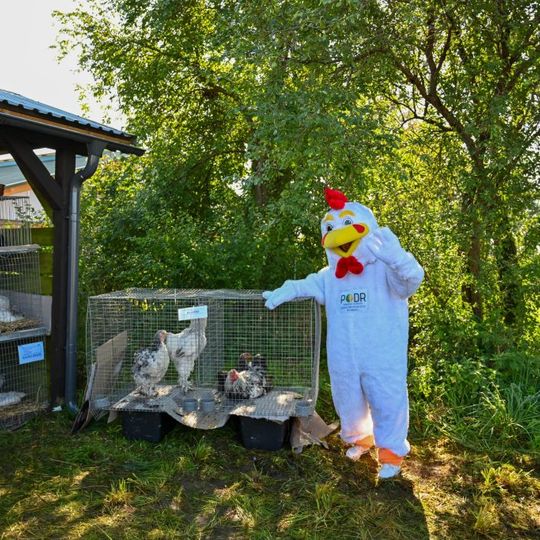 Kaszubska Jesień Rolnicza 2025