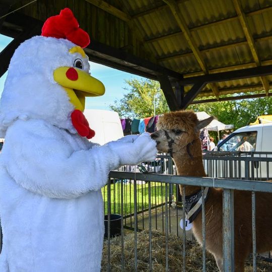 Kaszubska Jesień Rolnicza 2025