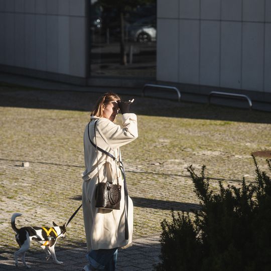 50. FPFF w Gdyni, dzień III