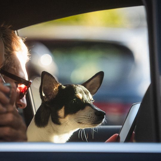 50. FPFF w Gdyni, dzień III