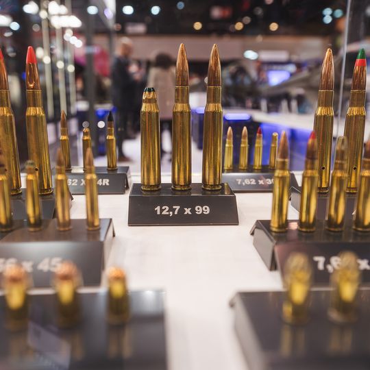 targi Baltexpo 2025 w Gdańsku