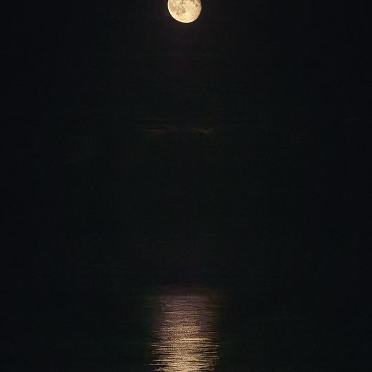 Sopot Jazz Festival 2025, Kosmonauci, Błoto