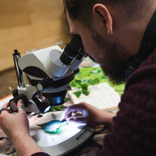 Planszowa GDArena 2025 w Gdańsku