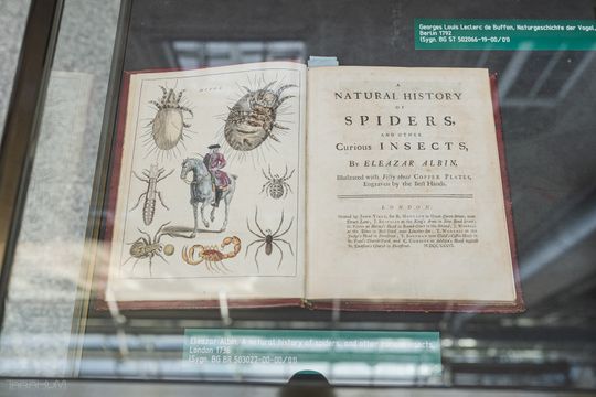 Konferencja „Dziedzictwo w sieci: digitalizacja w erze przemian”.