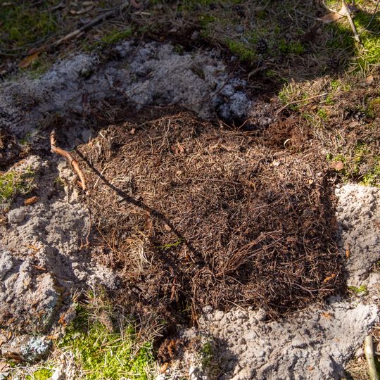 ekologiczne działania PEJ przy budowie elektrowni jądrowej