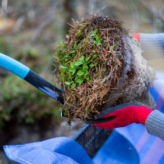 ekologiczne działania PEJ przy budowie elektrowni jądrowej