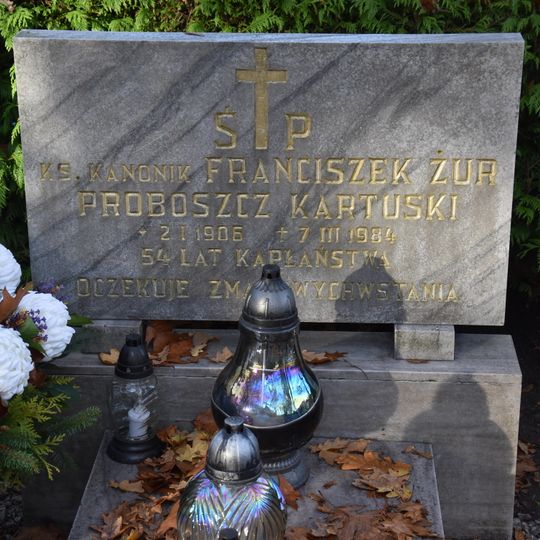 Ks. Franciszek Żur