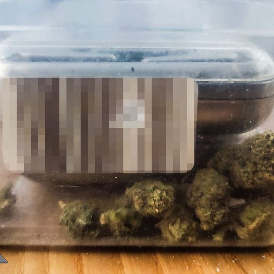 rozbicie grupy pseudokibiców z Pomorza i Kujaw