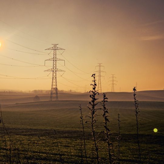 mgła w Gdańsku, 2025