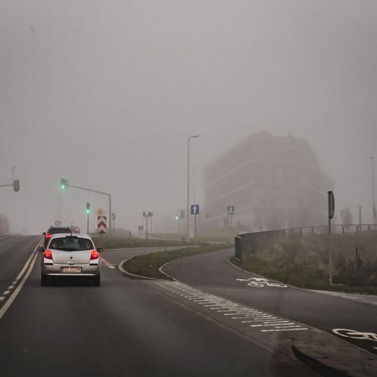 mgła w Gdańsku, 2025